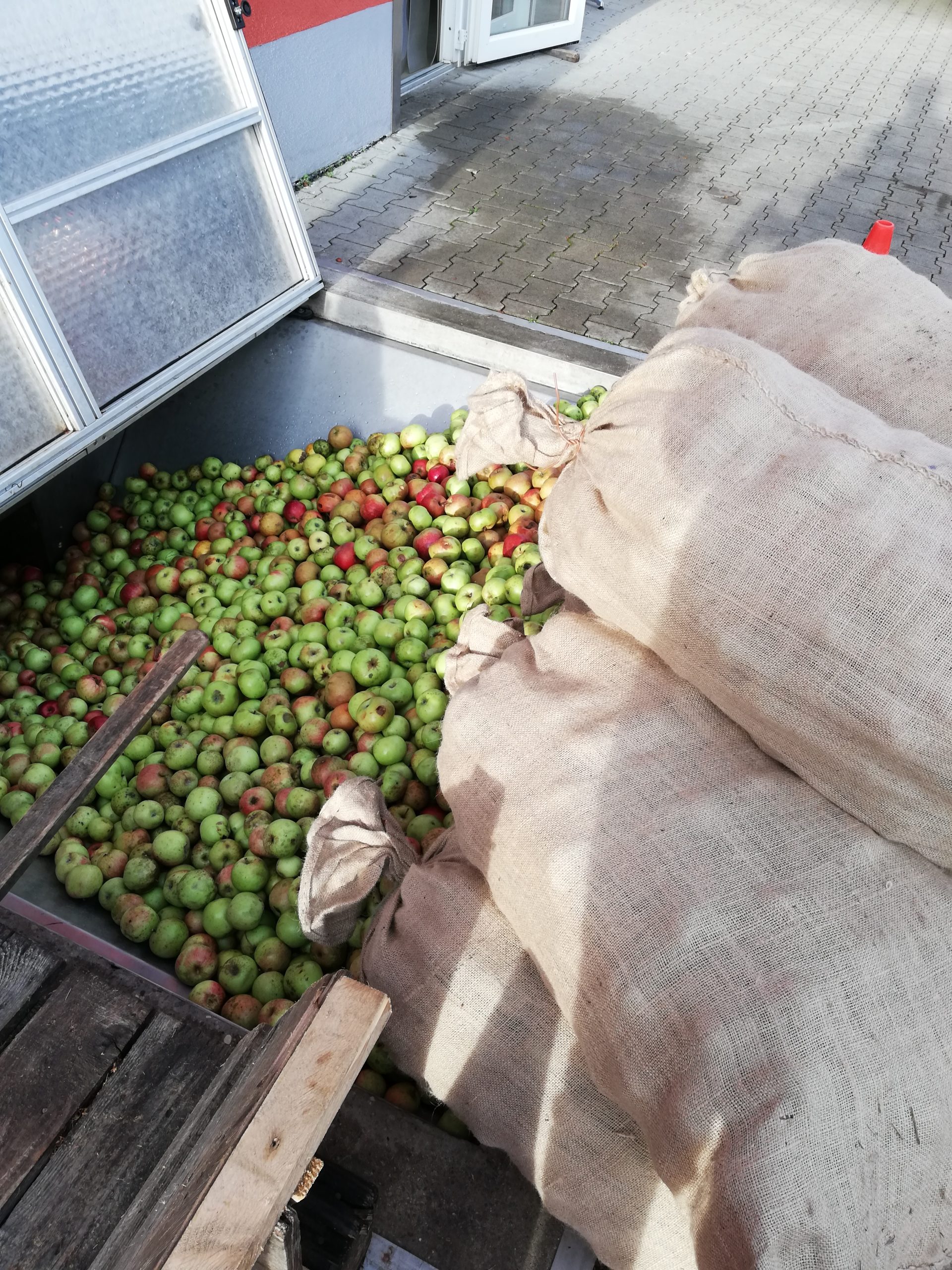 Apfelbalsam Essig – Bild 4