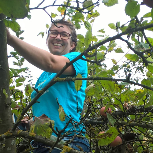 Michaela bei der Ernte für Presswerk